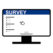 How to make money Online with paid Surveys ?