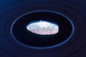 How Employers Use Fingerprint Background Checks to Protect Their Workforce