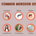 monsoon diseases