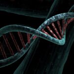 DNA Health Testing: Decoding Your Path to Personalized Wellness