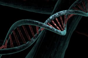 DNA Health Testing: Decoding Your Path to Personalized Wellness