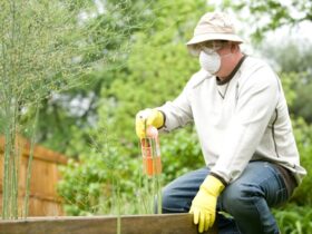 Pest Control: Balancing Efficiency and Environmental Impact