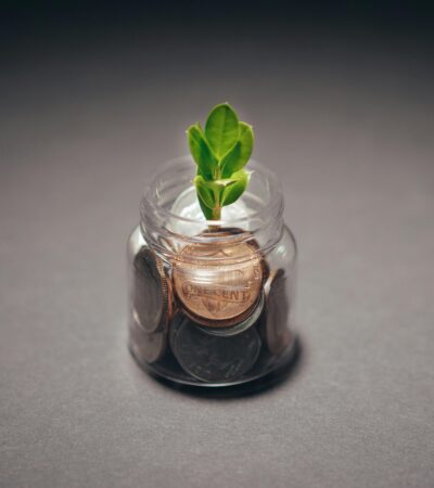 Strategies for Financial Growth and Long-Term Security