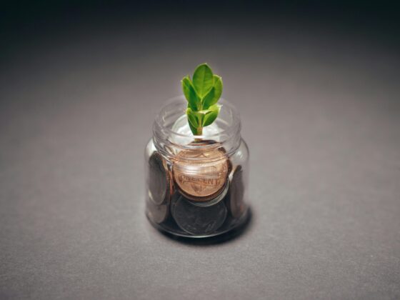 Strategies for Financial Growth and Long-Term Security
