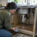 A Seasonal Home Pest Prevention Checklist