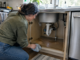 A Seasonal Home Pest Prevention Checklist